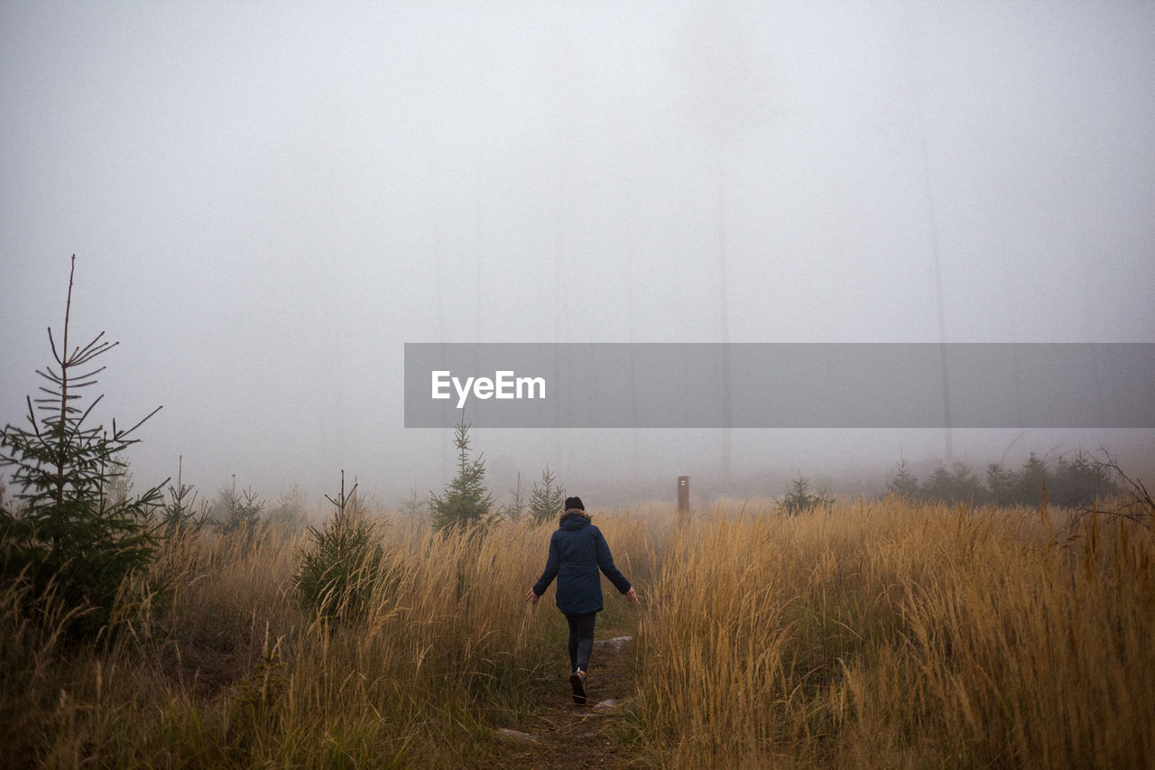 Rear view of woman walking at forest during foggy weather