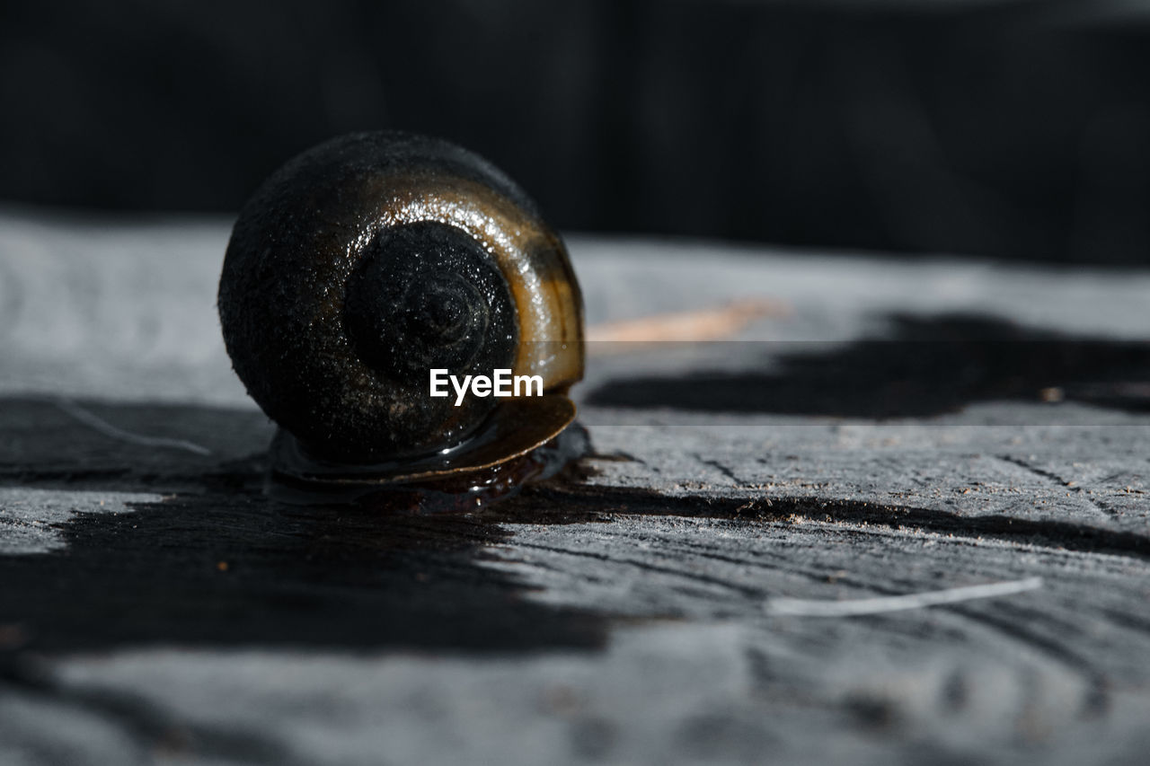 Close-up of old metal on table