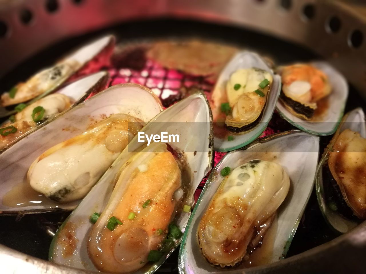 Close-up of mussels in container