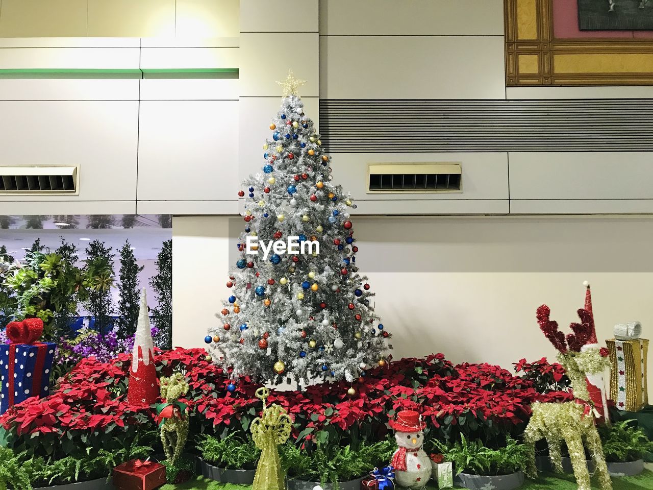 VIEW OF CHRISTMAS TREE AT NIGHT