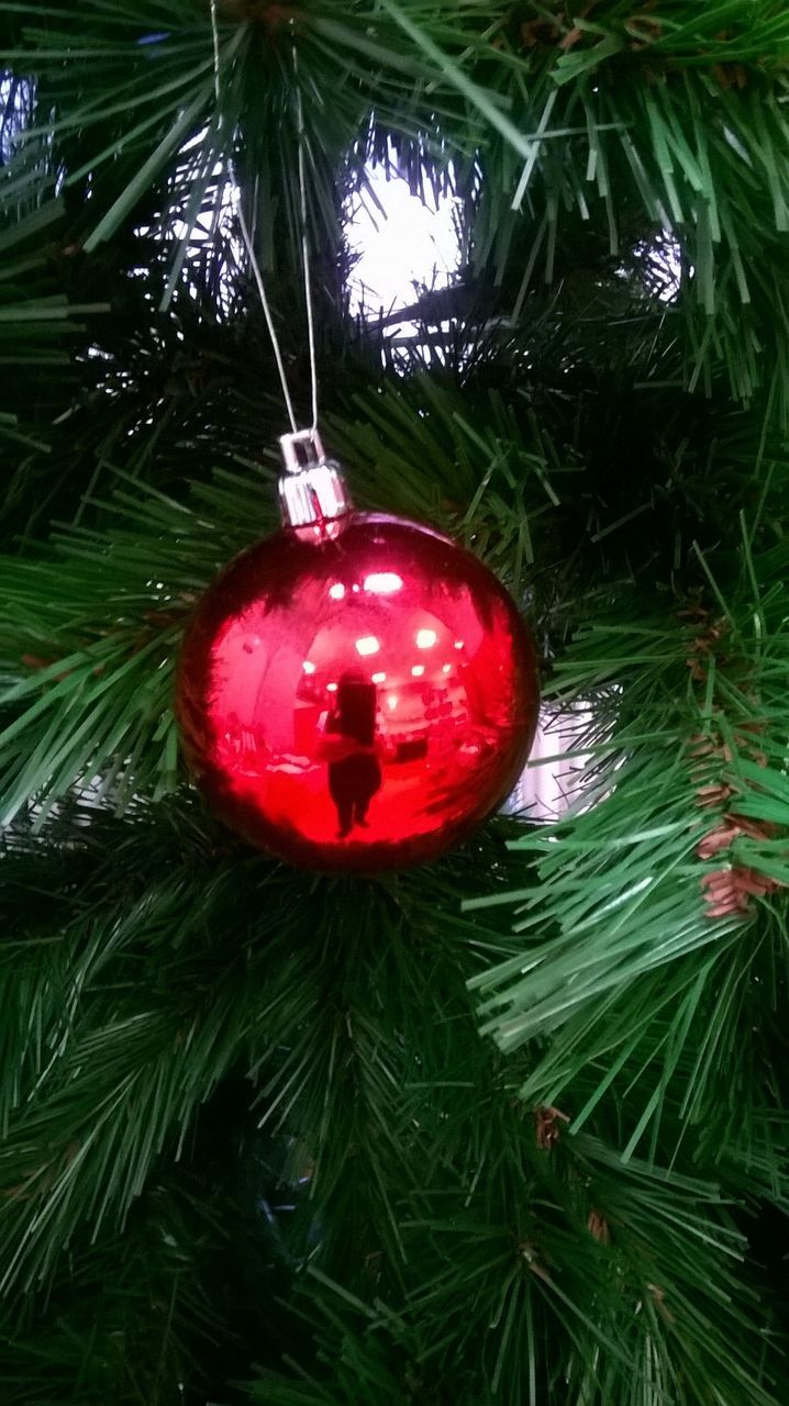 Close-up of bauble on christmas tree