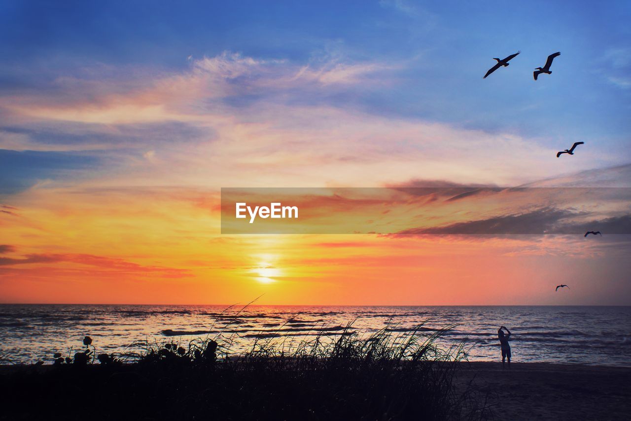 SILHOUETTE BIRDS FLYING OVER SEA AGAINST SKY DURING SUNSET