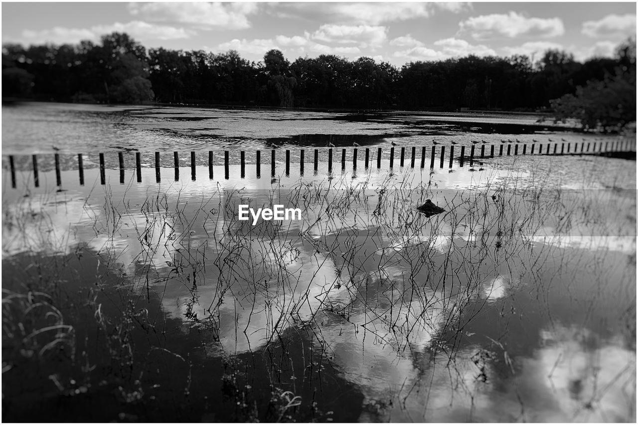 REFLECTION OF TREES IN LAKE AGAINST SKY