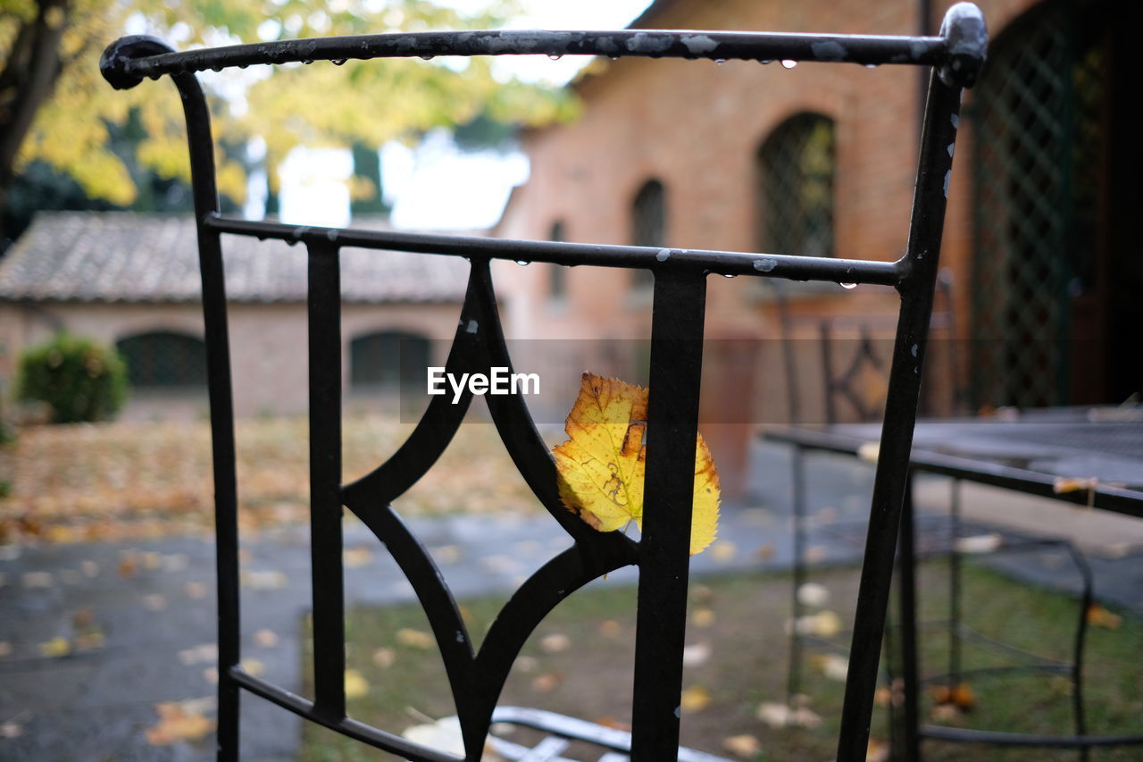 CLOSE-UP OF METAL GRATE IN AUTUMN