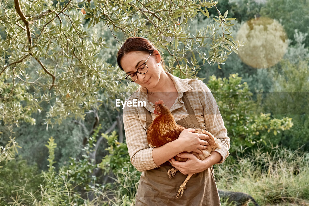 Woman holding brown hen in her hands. free-grazing domestic hen in free range poultry farm.