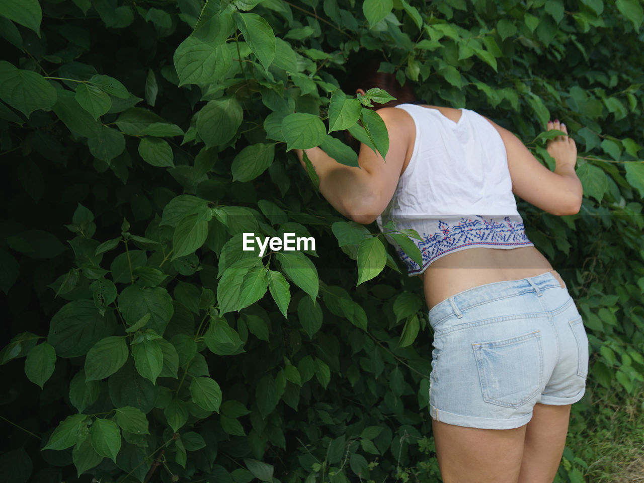 Rear view of woman standing by plants