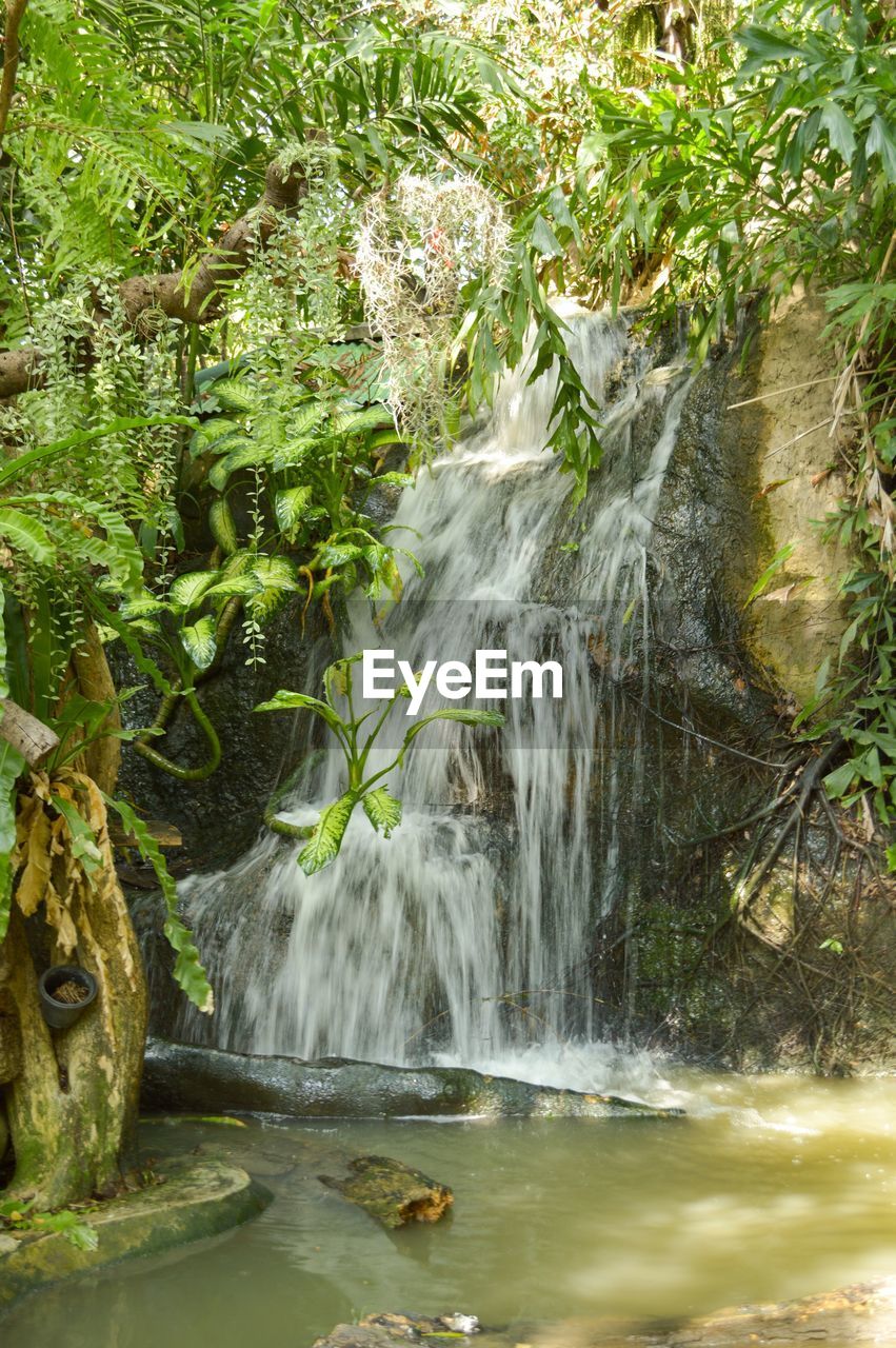 Scenic view of waterfall in forest