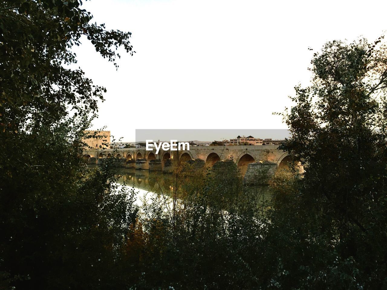 Bridge over lake against clear sky with trees in foreground