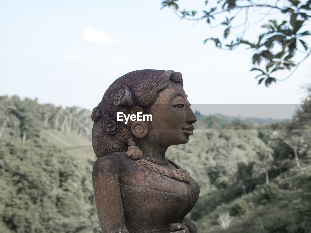 CLOSE-UP OF BUDDHA STATUE AGAINST TREES