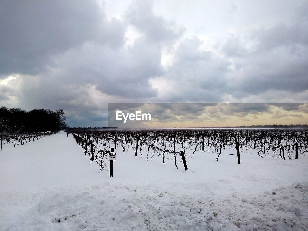 SCENIC VIEW OF SNOW COVERED LANDSCAPE AGAINST SKY