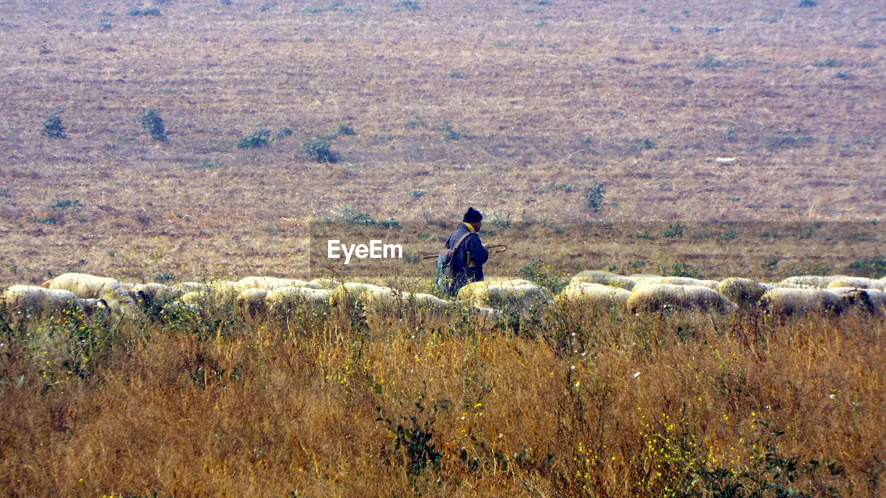 WOMAN STANDING ON GRASSY FIELD