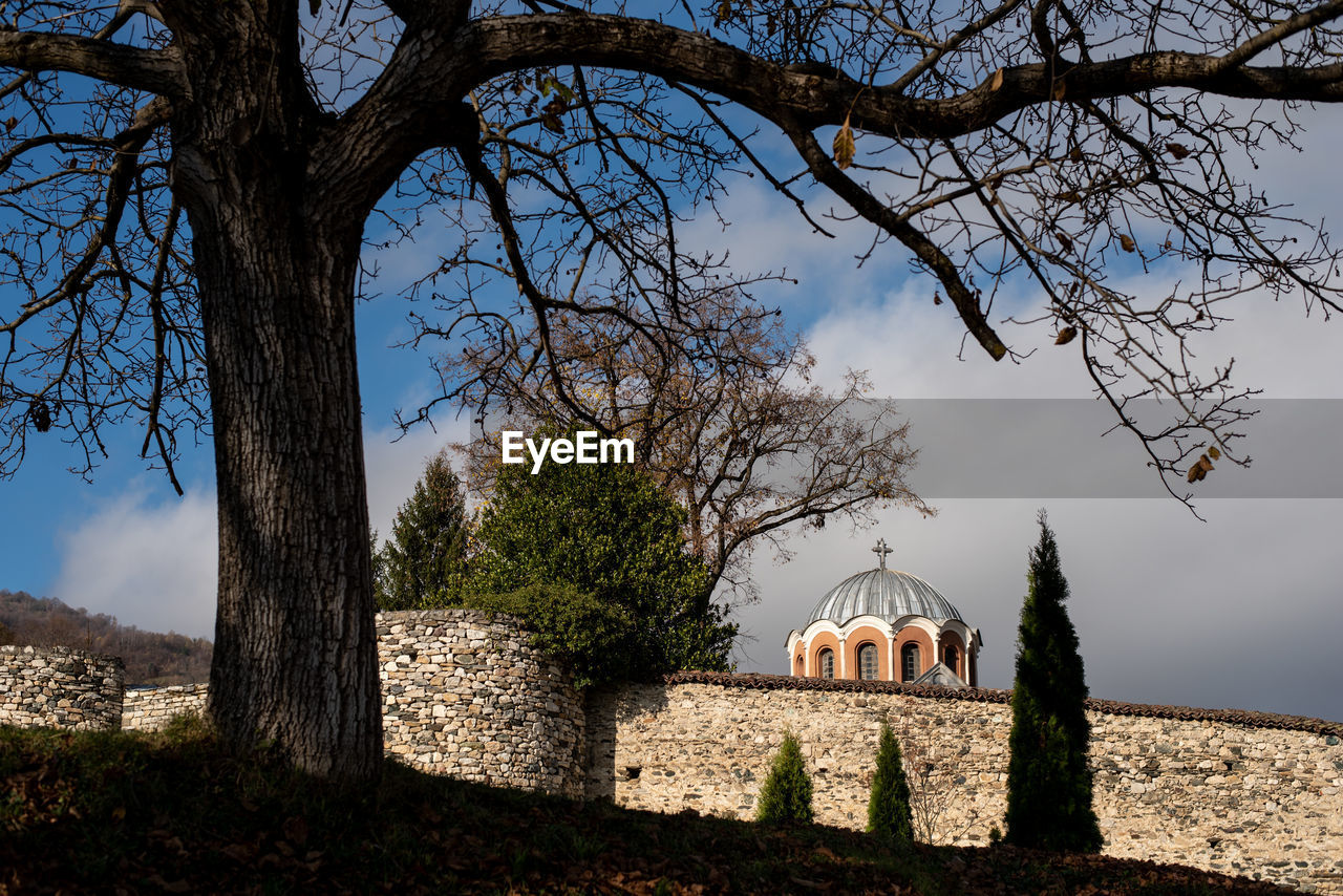 tree, architecture, plant, built structure, nature, place of worship, religion, sky, building exterior, belief, travel destinations, history, building, the past, no people, spirituality, travel, rural area, tourism, flower, autumn, branch, outdoors, dome, catholicism, day, city, sunlight, bare tree, landscape, cloud