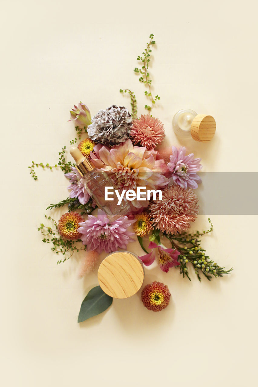 HIGH ANGLE VIEW OF FLOWERING PLANT ON WHITE BACKGROUND