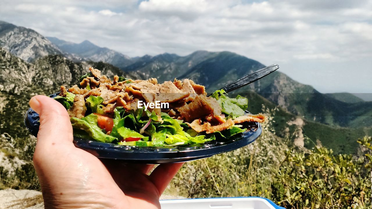 Food in plate against mountains