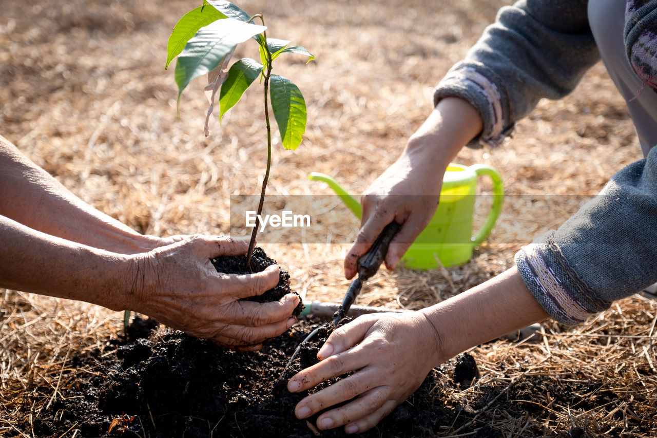 Close-up of people planting