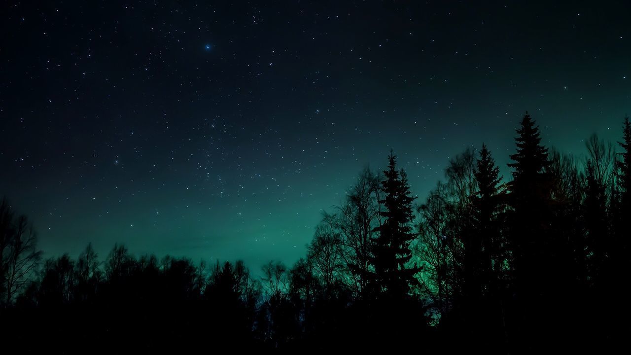 Low angle view of silhouette trees against star field at night