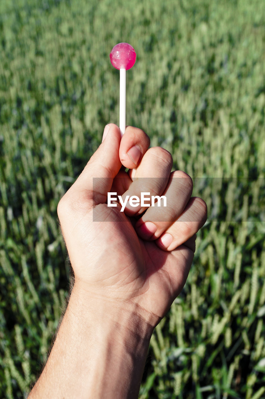 Cropped image of hand holding lollipop candy on field