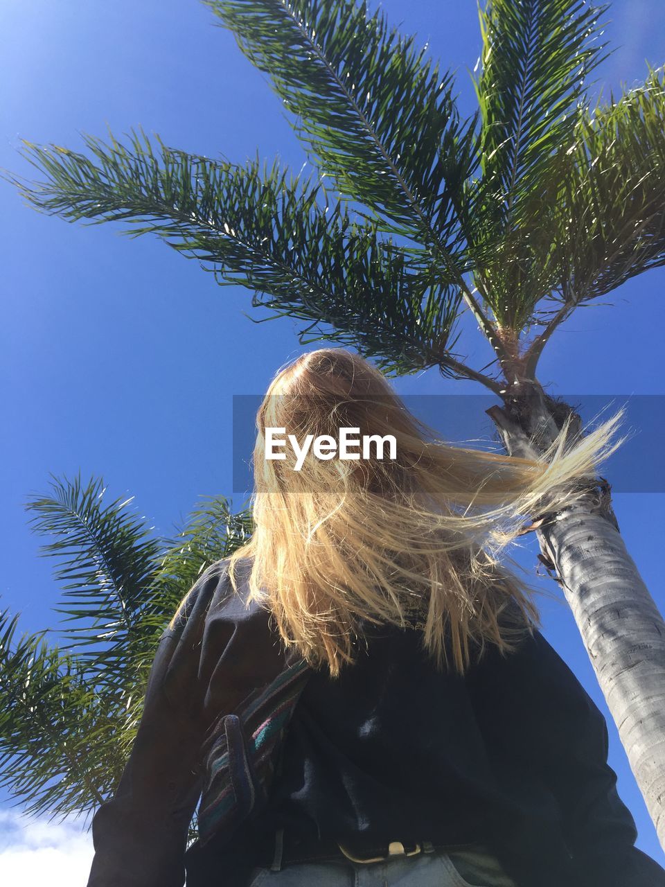 LOW ANGLE VIEW OF WOMAN WITH PALM TREE