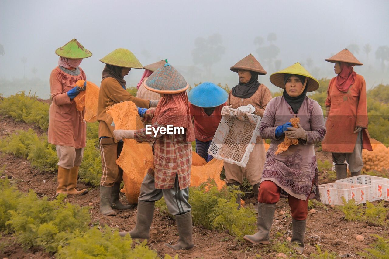 Female farmers wearing asian style conical hats while working at farm