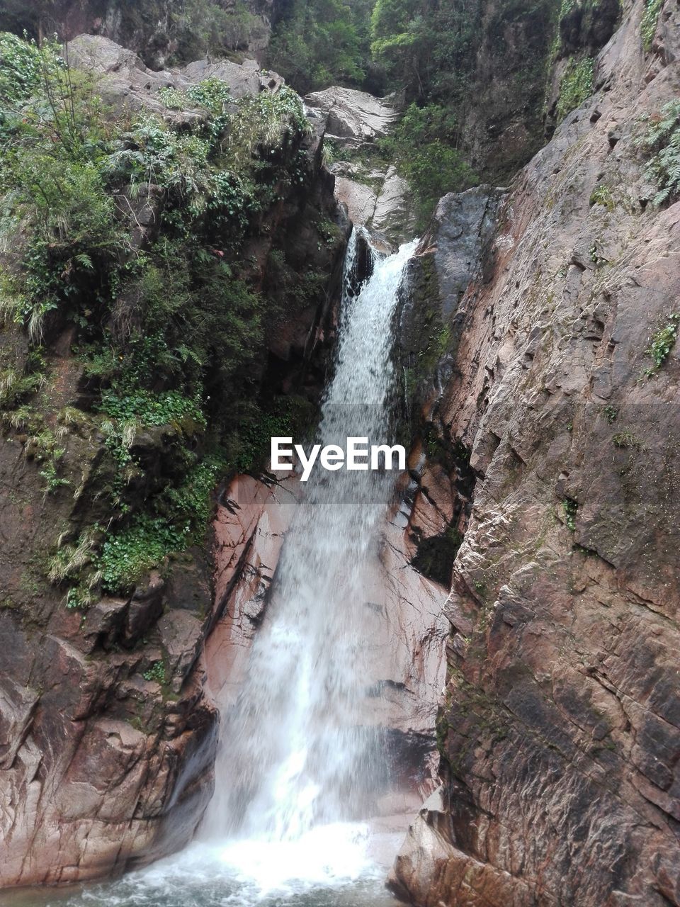 Scenic view of waterfall in forest