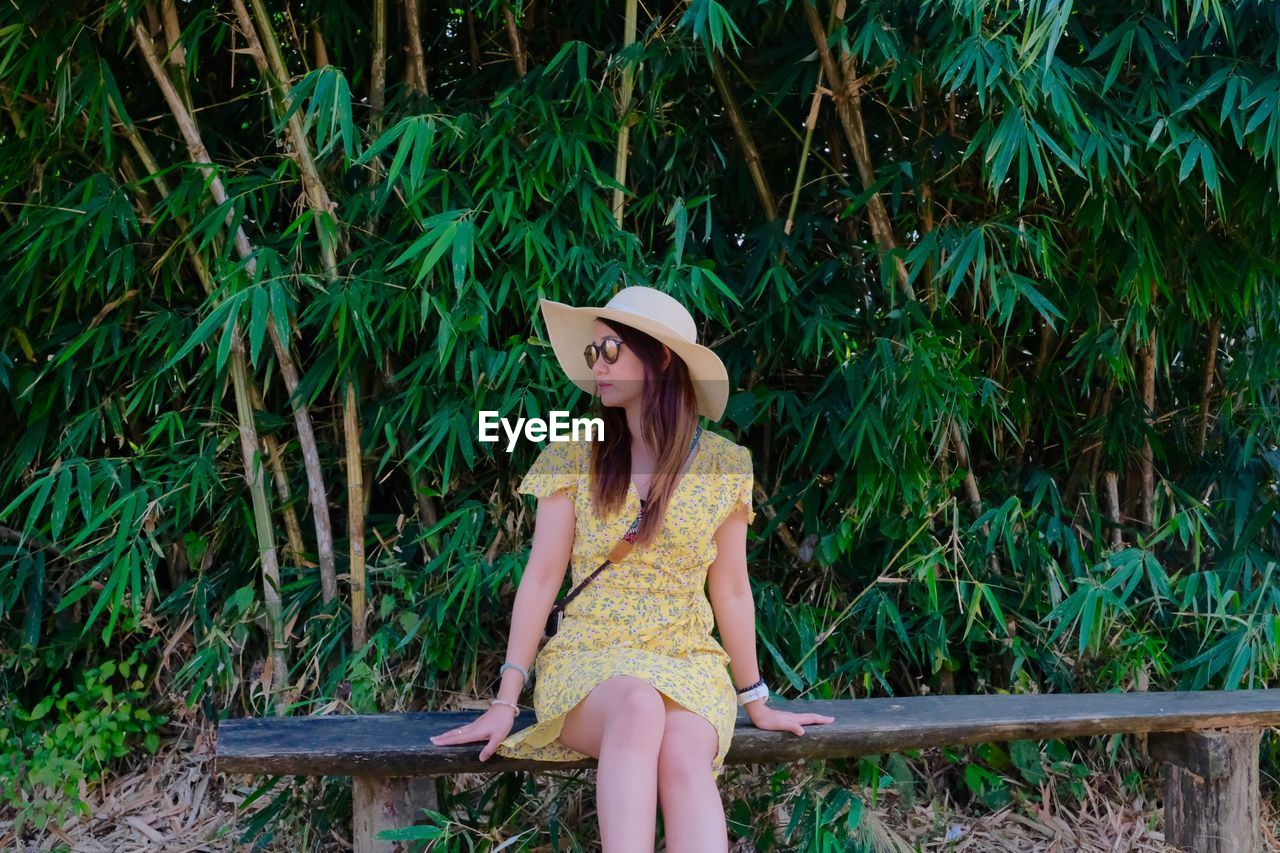 Young woman sitting on bench against plants