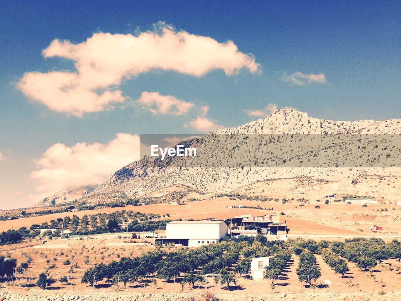 Trees growing on field against mountain at valle de abdalajis