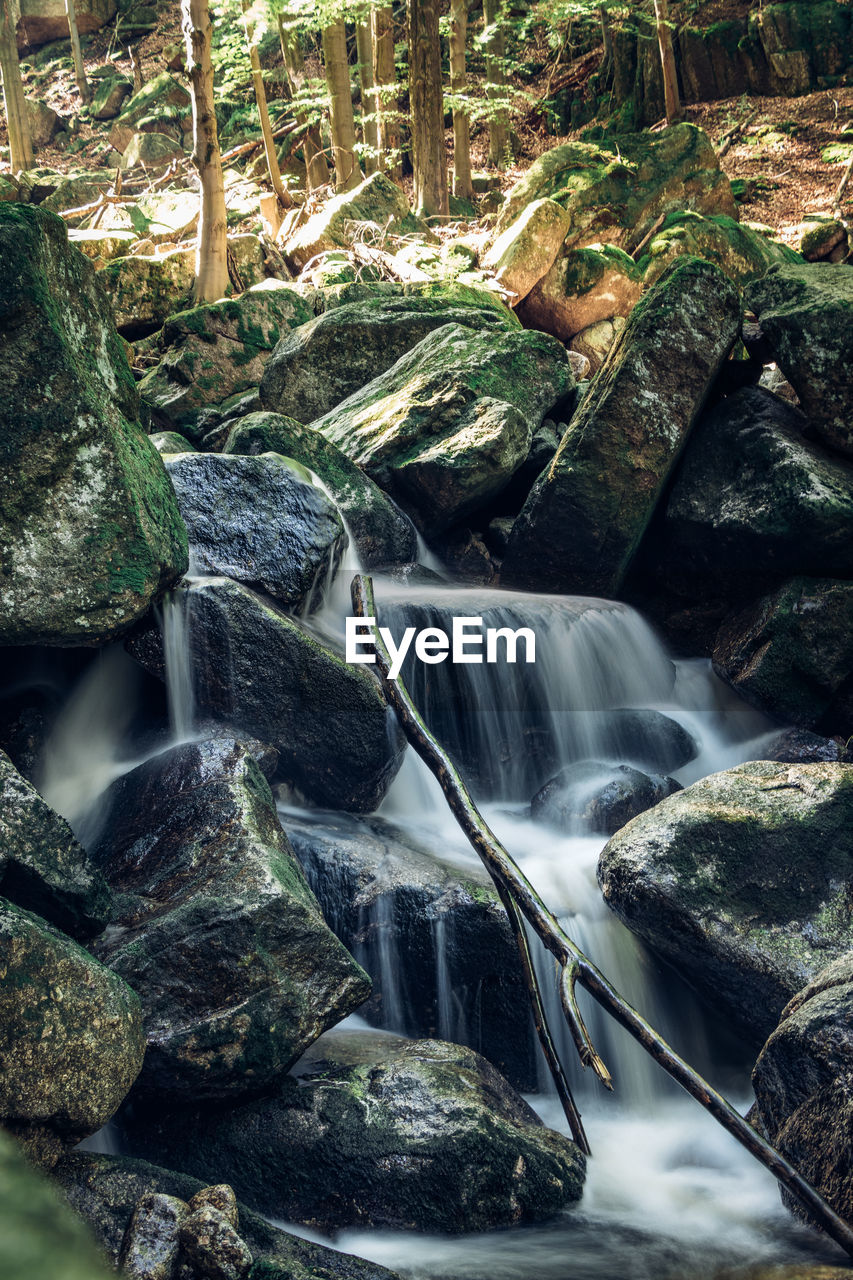 WATER FLOWING THROUGH ROCKS IN FOREST