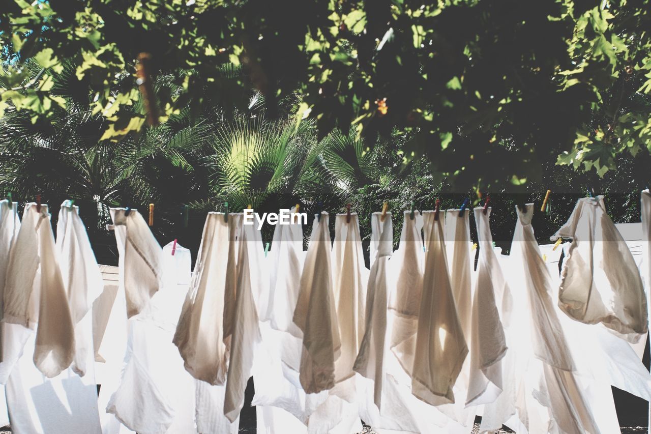 Clothes drying on ropes