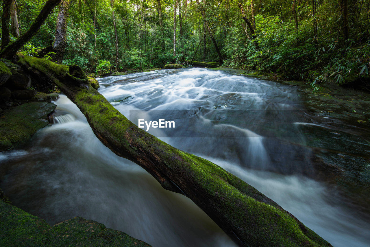 SCENIC VIEW OF WATERFALL