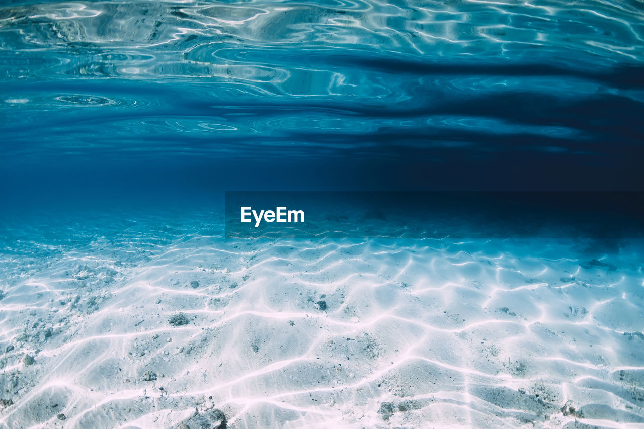 full frame shot of swimming in pool