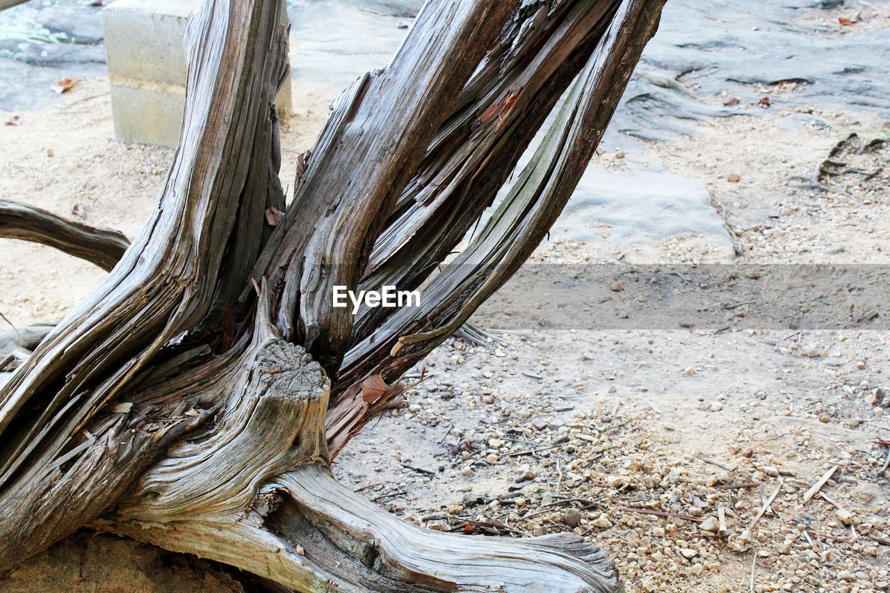 CLOSE-UP OF BEACH