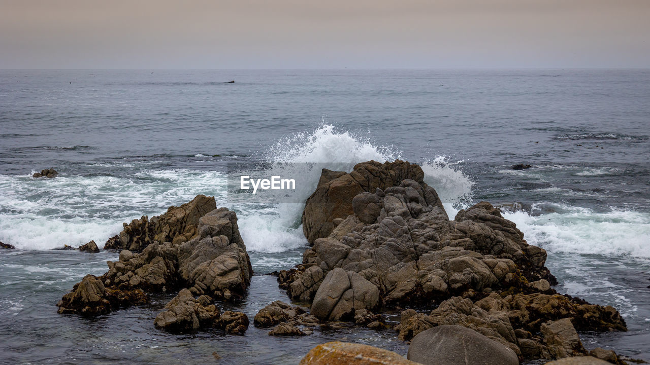 The coastline of the beautiful northern pacific ocean on highway 1 in california