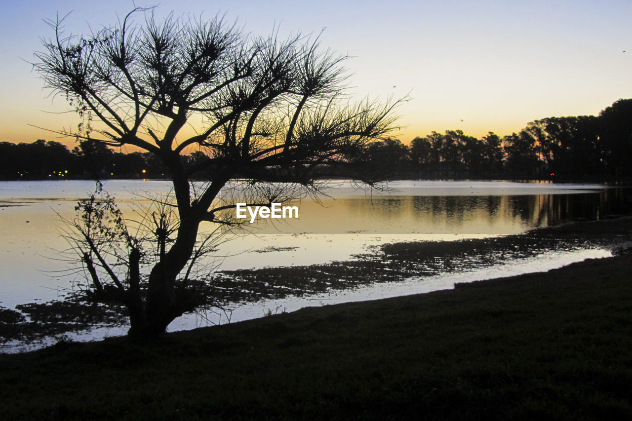 SILHOUETTE BARE TREES BY LAKE AGAINST SKY DURING SUNSET