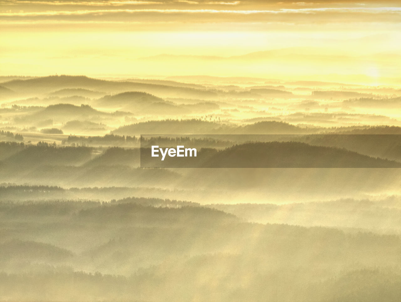 Aerial view of colorful mixed forest shrouded in morning fog on a beautiful autumn day