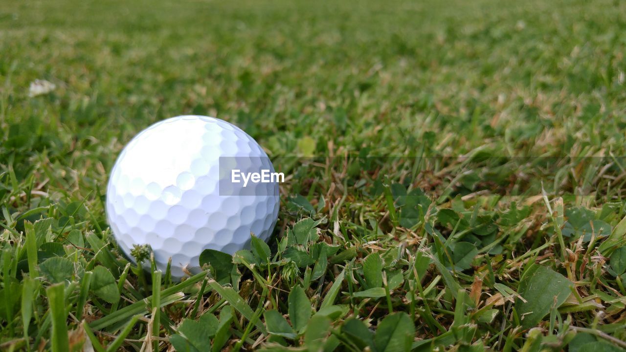 CLOSE-UP OF GOLF BALL