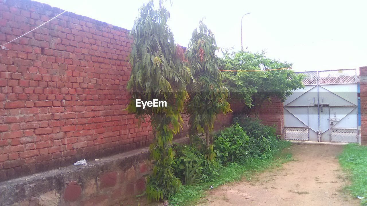 BRICK WALL WITH BRICK WALL IN FOREGROUND