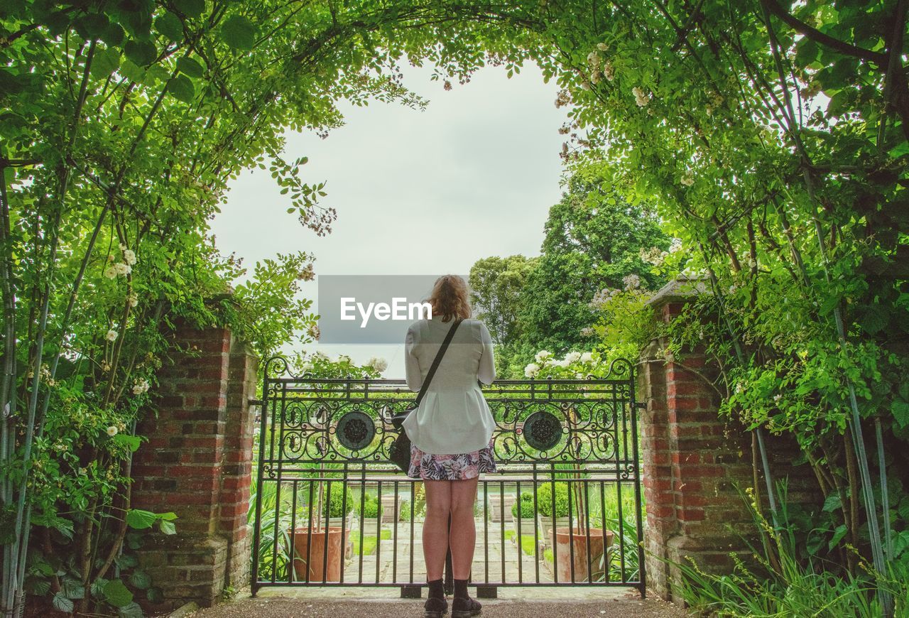 Woman standing by railing against trees