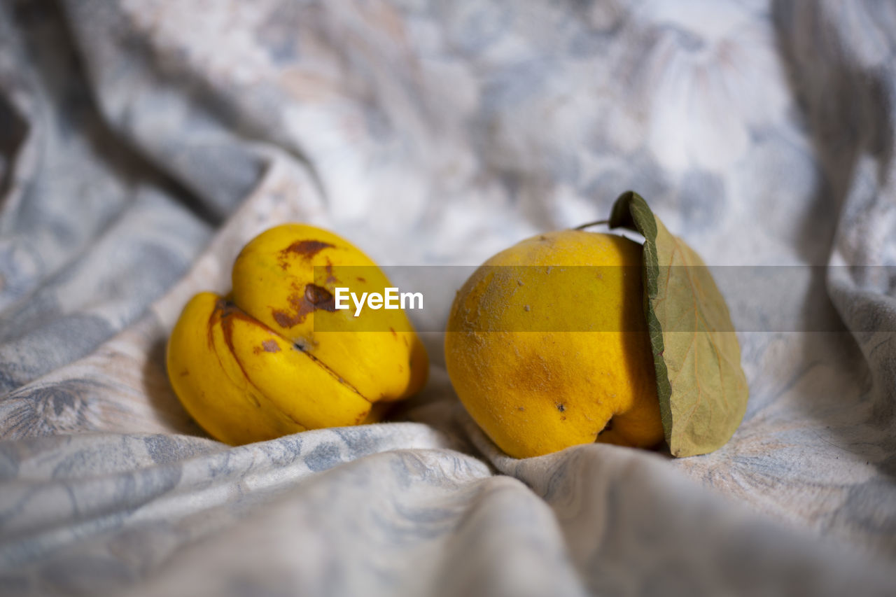 CLOSE-UP OF FRUITS ON BED