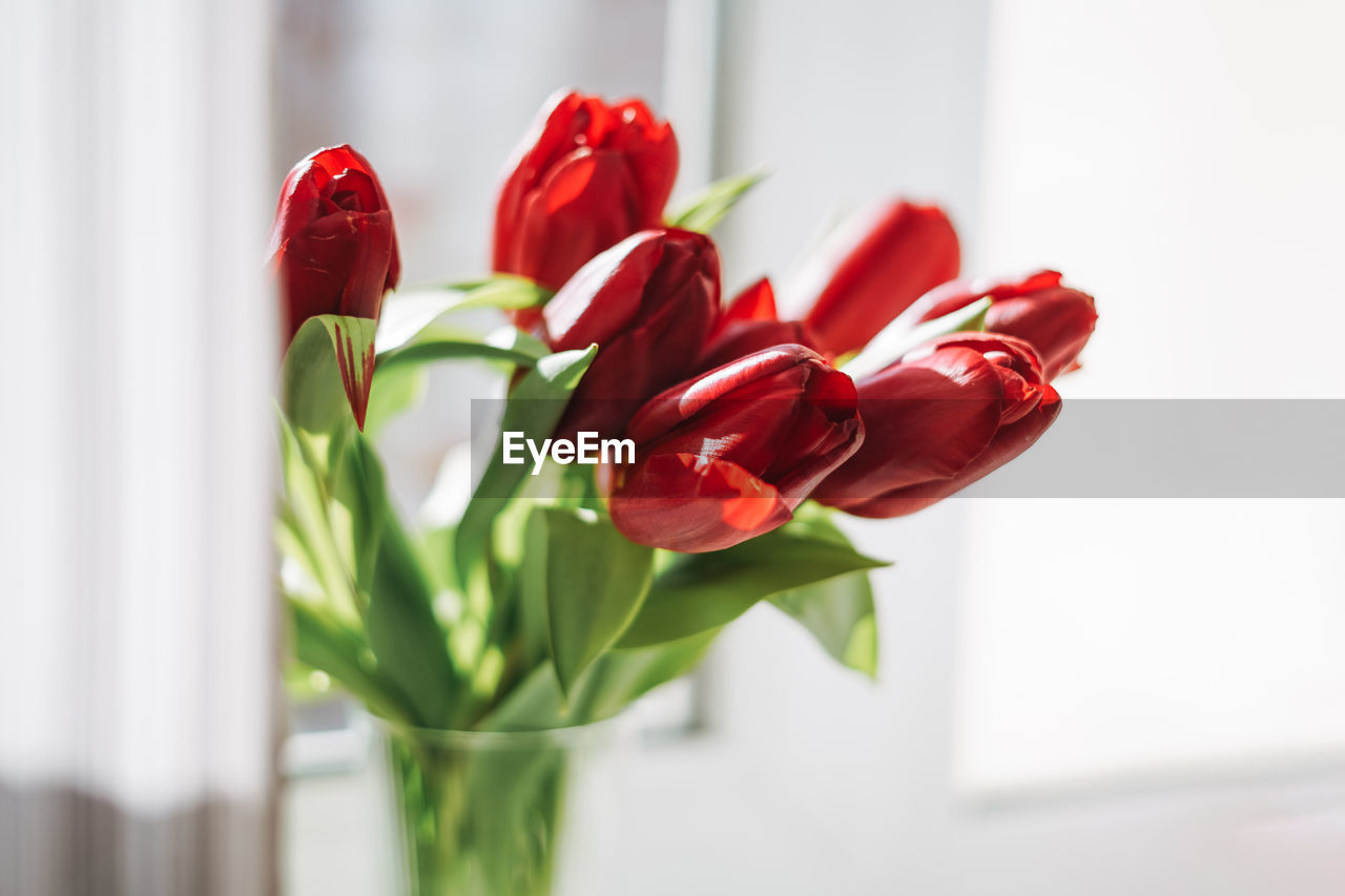Beautiful bouquet of red tulips in vase om window sill at the home, natural background