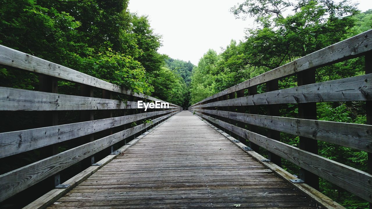 Empty wooden footbridge amidst trees at forest