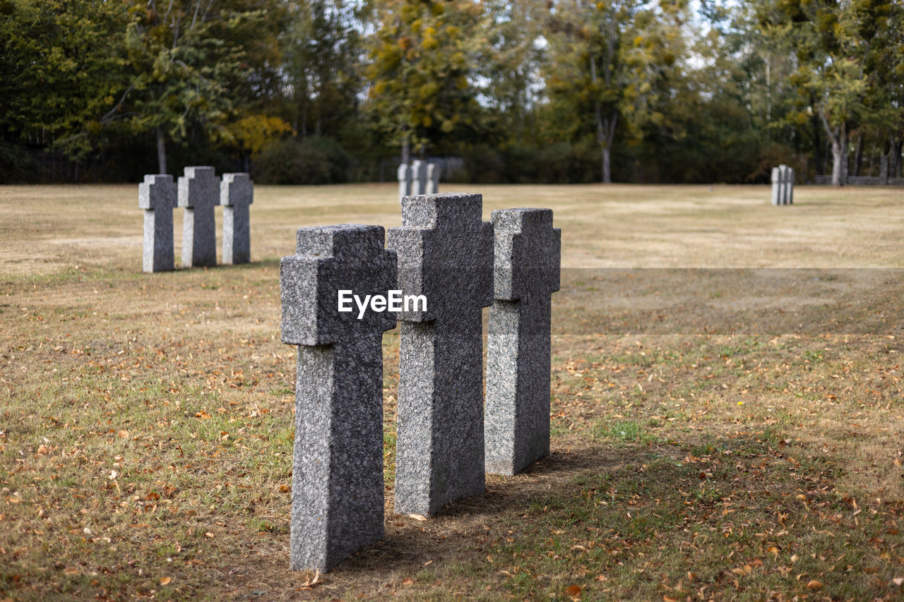 Stone tombstones in the german cemetery in the fall. beautiful german cemetery near kyiv.