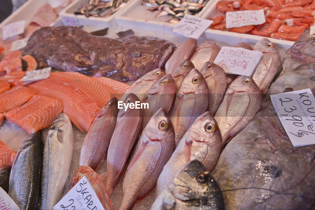 Close-up of seafood for sale