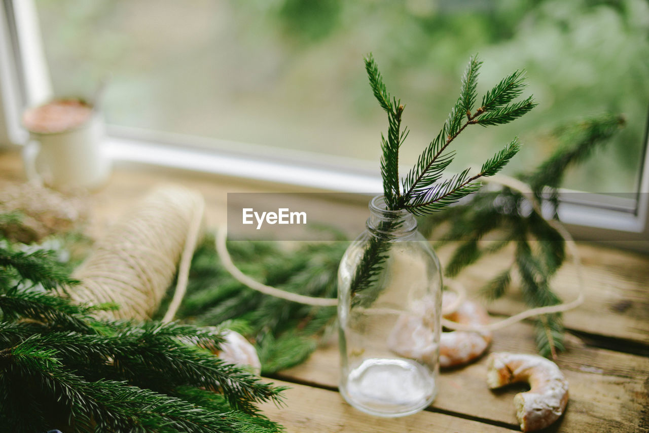 High angle view of pine needles on table by window