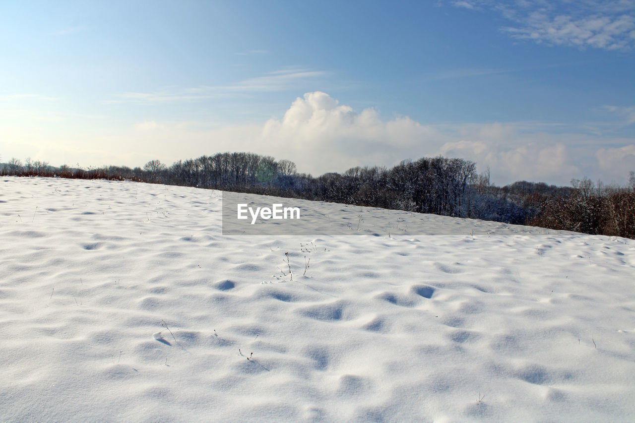 SNOW COVERED LAND