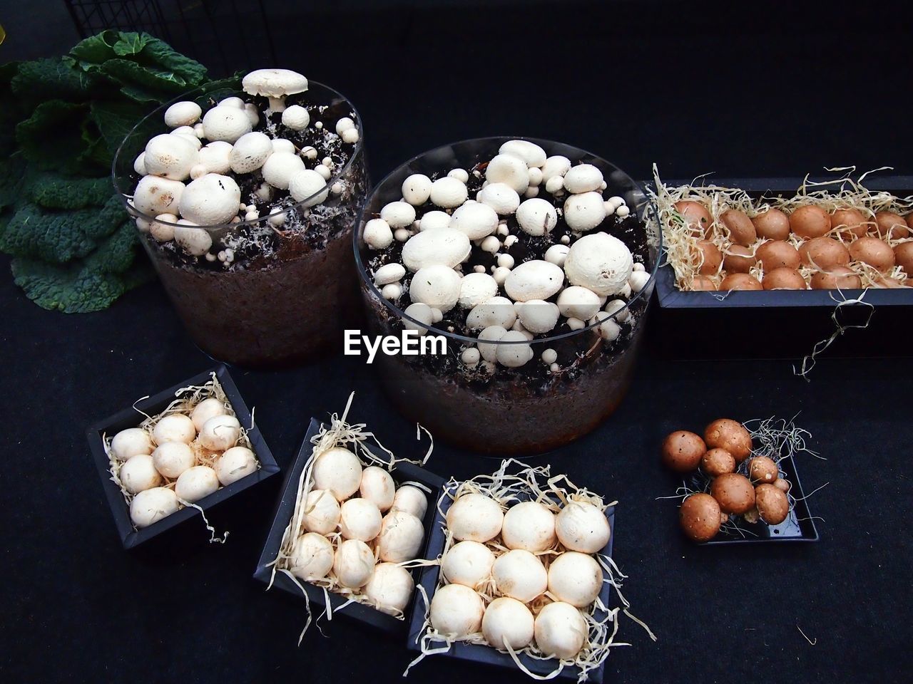 High angle view of mushrooms in container