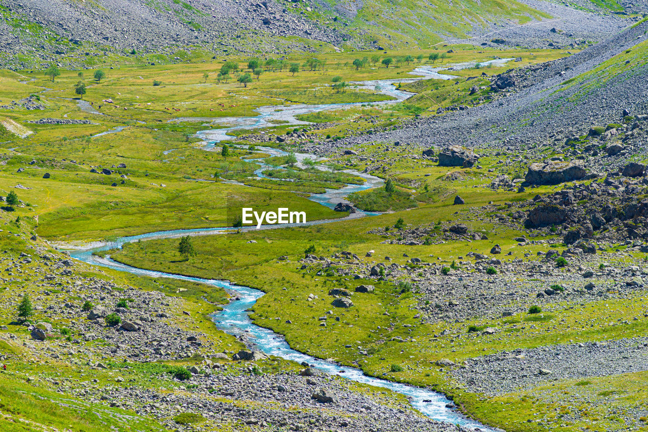 HIGH ANGLE VIEW OF FIELD BY ROAD