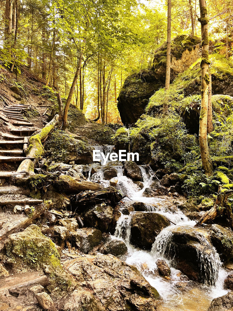 SCENIC VIEW OF STREAM FLOWING THROUGH ROCKS IN FOREST