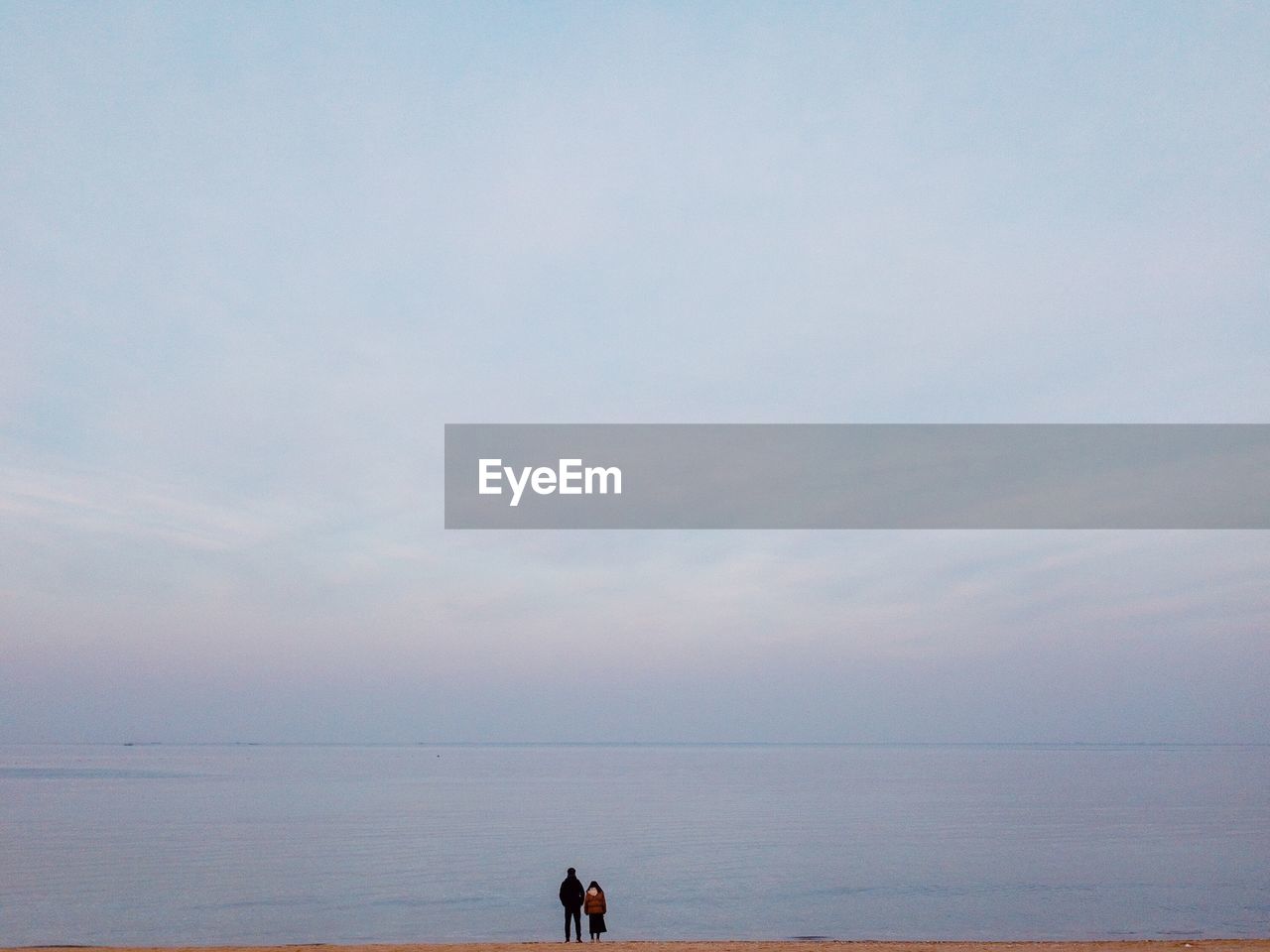 Rear view of friends standing at beach against sky