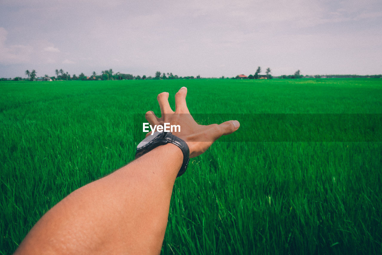 Cropped image of hand gesturing against grassy field