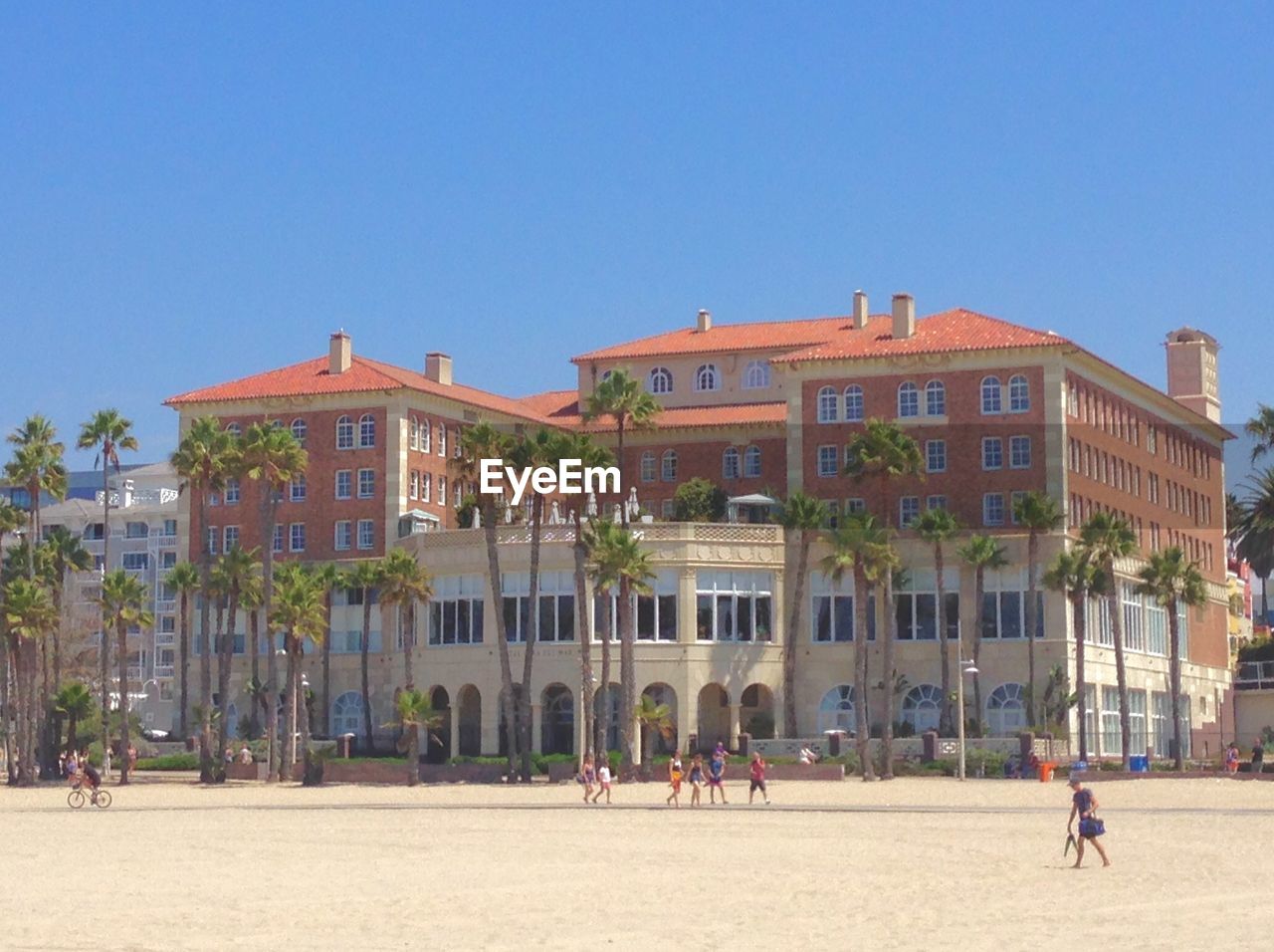 Palm trees in front of building